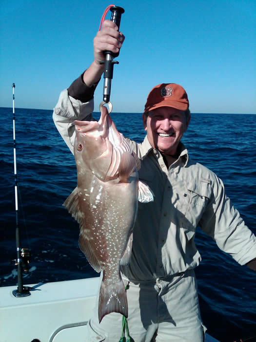 redgrouper