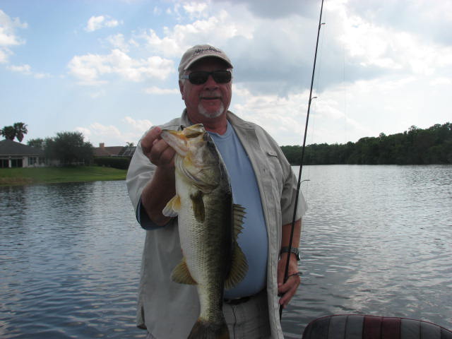 bass