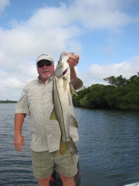 snook