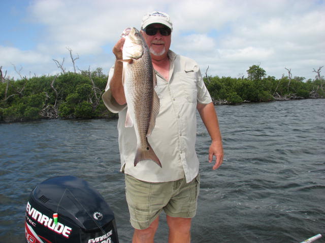 redfish
