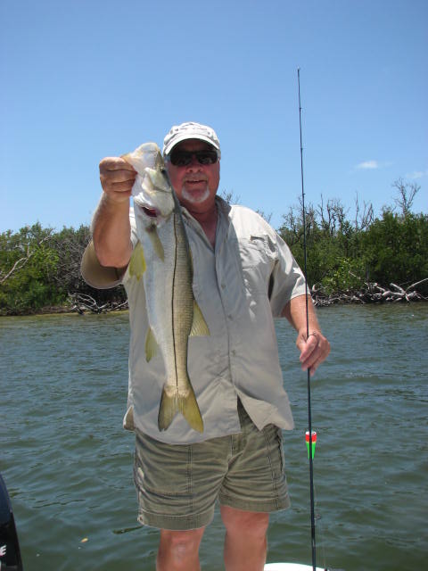 snook 2