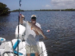 redfish